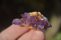 Natural Small Dark Amethyst Crystal Plates  x 70 From Mapatizya, Zambia - Toprock Gemstones and Minerals 