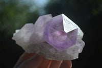 Natural Jacaranda Amethyst Clusters  x 3 From Mumbwa, Zambia - Toprock Gemstones and Minerals 