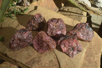 Natural Rough Red Rhodonite Specimens x 6 From Zimbabwe