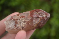 Natural Red Hematoid Quartz Specimens x 12 From Karoi, Zimbabwe - TopRock