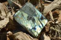 Polished Labradorite Standing Free Forms With Intense Blue & Gold Flash x 2 From Sakoany, Madagascar - TopRock