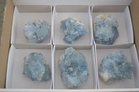 Natural Blue Celestite Crystal Specimens  x 6 From Madagascar - Toprock Gemstones and Minerals 