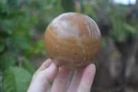 Polished Picture Stone Spheres  x 4 From Namibia