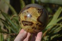 Polished Septaria (Calcite & Aragonite) Spheres  x 2 From Madagascar