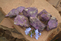 Natural Rough Purpurite Cobbed Specimens  x 6 From Namibia - TopRock