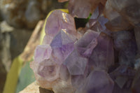 Natural Jacaranda Amethyst Cluster x 1 From Mumbwa, Zambia - TopRock