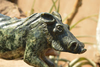 Polished Extra Large Serpentine Warthog Carving  x 1 From Zimbabwe - TopRock