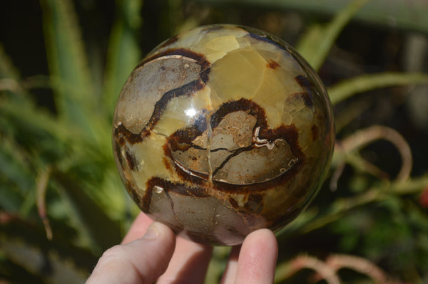 Polished Septaria (Calcite & Aragonite) Spheres  x 2 From Madagascar