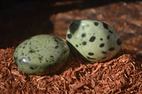 Polished Spotted Leopard Stone Gallets  x 12 From Zimbabwe