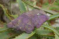 Natural Rough Purpurite Cobbed Specimens  x 6 From Namibia - TopRock