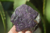 Natural Metallic Purpurite Cobbed Specimens x 12 From Erongo, Namibia