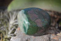 Polished Green Verdite Galet / Palm Stones x 6 From Zimbabwe