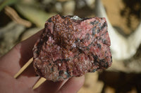 Natural Rough Red Rhodonite Specimens x 6 From Zimbabwe