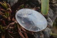 Polished Extra Large Girasol Pearl Quartz Palm Stones  x 8 From Ambatondrazaka, Madagascar - Toprock Gemstones and Minerals 