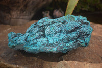 Natural Blue Chrysocolla On Silky Malachite Matrix With Black Heterogenite  x 1 From Kulukuluku, Congo - Toprock Gemstones and Minerals 