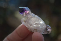 Natural Smokey Window Amethyst Crystals  x 12 From Chiredzi, Zimbabwe