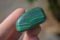 Polished Small Malachite Tumble Stones  x 20 From Congo - Toprock Gemstones and Minerals 