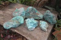 Natural Rough Chrysocolla Specimens  x 6 From Kaokoveld, Namibia - Toprock Gemstones and Minerals 