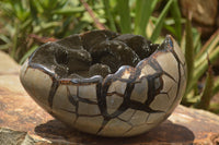 Polished Septerye Sauvage "Dragons Egg" x 1 From Mahajanga, Madagascar - TopRock