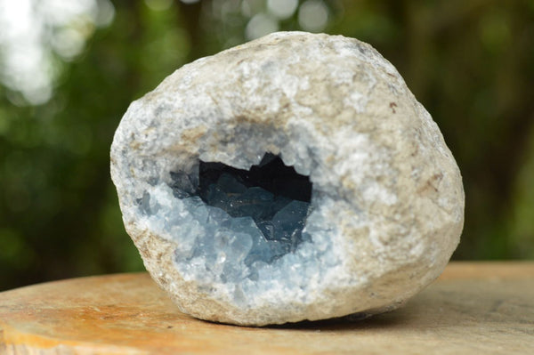 Natural Deep Blue Celestite Geode Specimen  x 1 From Sakoany, Madagascar - TopRock