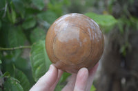 Polished Picture Stone Spheres  x 4 From Namibia