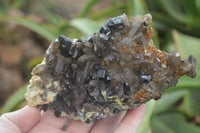 Natural Schorl Black Tourmaline & Smokey Quartz Specimens x 2 From Erongo Mountains, Namibia - TopRock