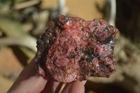 Natural Rough Red Rhodonite Specimens x 6 From Zimbabwe