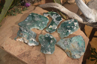 Polished One Side Polished Emerald Mtorolite Plates  x 6 From Zimbabwe