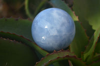 Polished Blue Calcite Spheres x 2 From Ihadilalana, Madagascar