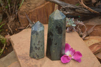 Polished Stromatolite / Kambamba Jasper Points  x 2 From Madagascar - TopRock