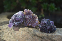 Natural Small Dark Amethyst Crystal Plates  x 70 From Mapatizya, Zambia - Toprock Gemstones and Minerals 