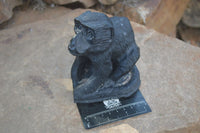 Polished Groovy Black Soap Stone Baboon Carving  x 1 From Zimbabwe - Toprock Gemstones and Minerals 