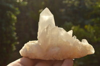 Natural High Selected Quartz Clusters With Intact Crystals  x 12 From Madagascar - TopRock