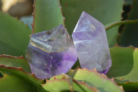 Polished Window Amethyst Points x 6 From Ankazobe, Madagascar