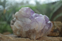 Natural Jacaranda Amethyst Cluster x 1 From Mumbwa, Zambia - TopRock