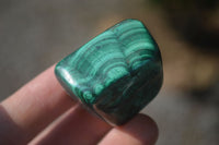 Polished Small Malachite Tumble Stones  x 20 From Congo - Toprock Gemstones and Minerals 