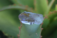 Natural Mini Smokey Amethyst Crystals  x 35 From Chiredzi, Zimbabwe - Toprock Gemstones and Minerals 