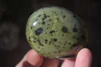 Polished Spotted Leopard Stone Gallets  x 12 From Zimbabwe