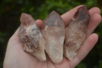 Natural Red Hematoid Quartz Specimens x 12 From Karoi, Zimbabwe - TopRock