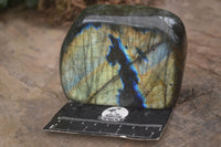 Polished Flashy Labradorite Standing Free Forms  x 3 From Madagascar - TopRock