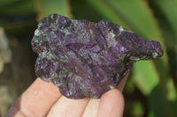 Natural Metallic Purpurite Cobbed Specimens x 12 From Erongo, Namibia