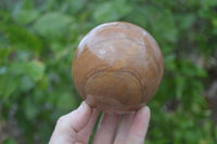 Polished Picture Stone Spheres  x 4 From Namibia