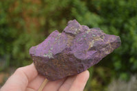 Natural Rough Purpurite Cobbed Specimens  x 6 From Namibia - TopRock