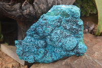 Natural Blue Chrysocolla On Silky Malachite Matrix With Black Heterogenite  x 1 From Kulukuluku, Congo - Toprock Gemstones and Minerals 