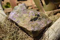 Natural Rough Purple Stichtite (Atlantisite) Specimens  x 3 From Barberton, South Africa - TopRock