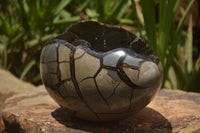 Polished Septerye Sauvage "Dragons Egg" x 1 From Mahajanga, Madagascar - TopRock