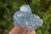 Natural Blue Celestite Crystal Specimens  x 6 From Madagascar - Toprock Gemstones and Minerals 