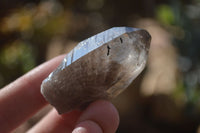 Natural Clear Smokey Quartz Crystals  x 20 From Southern Africa