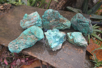 Natural Rough Chrysocolla Specimens  x 6 From Kaokoveld, Namibia - Toprock Gemstones and Minerals 