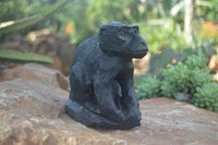 Polished Groovy Black Soap Stone Baboon Carving  x 1 From Zimbabwe - Toprock Gemstones and Minerals 